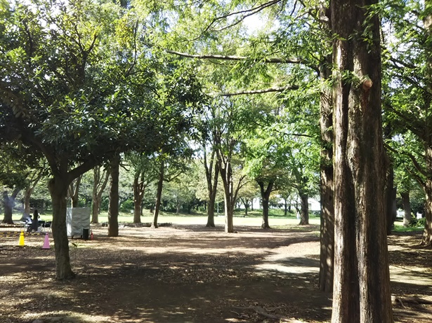 引地台公園