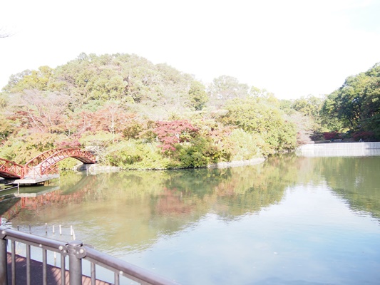 横浜こどもの国