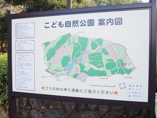 こども 自然 公園 横浜