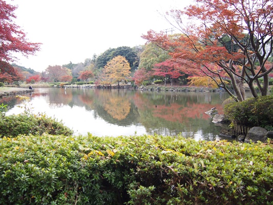 万騎が原ちびっこ動物園　こども自然公園