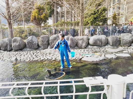 箱根園水族館アザラシショー