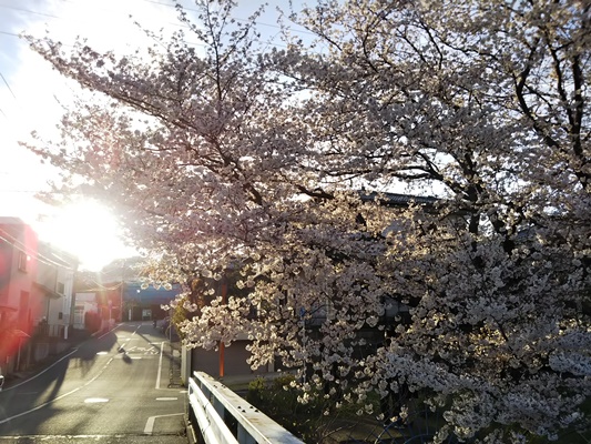 千本桜