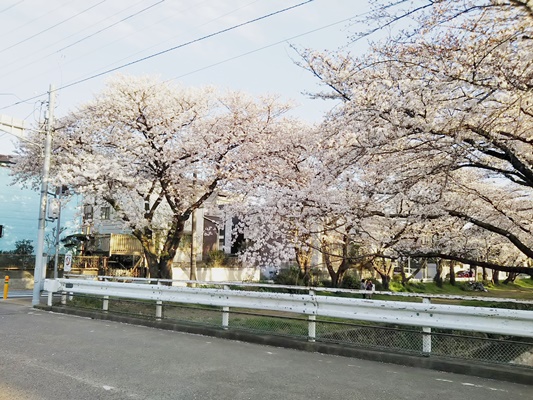 千本桜