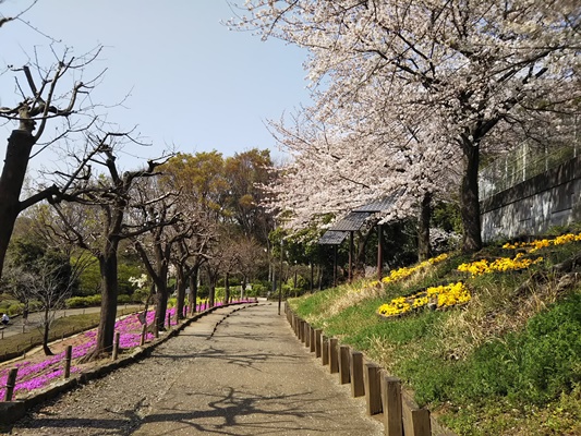 ふれあいの森