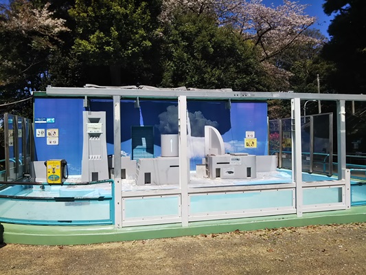 野毛山動物園　ペンギン