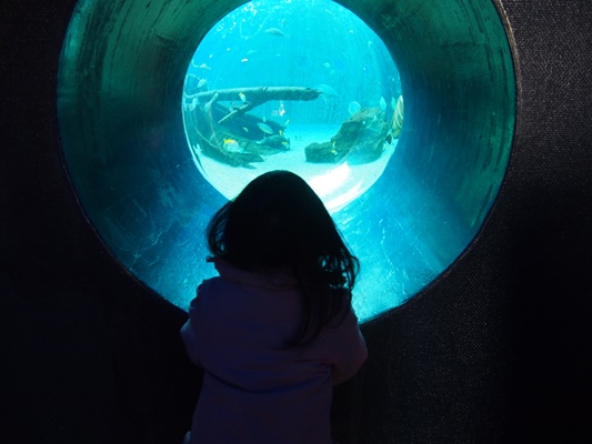 箱根水族園