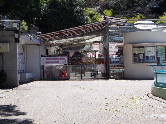 野毛山動物園ふれあい