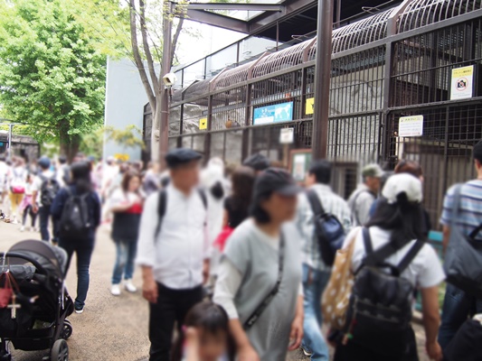 GW野毛山動物園