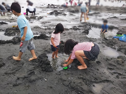 海の公園