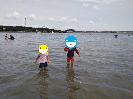 海の公園