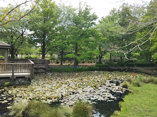 綾南公園