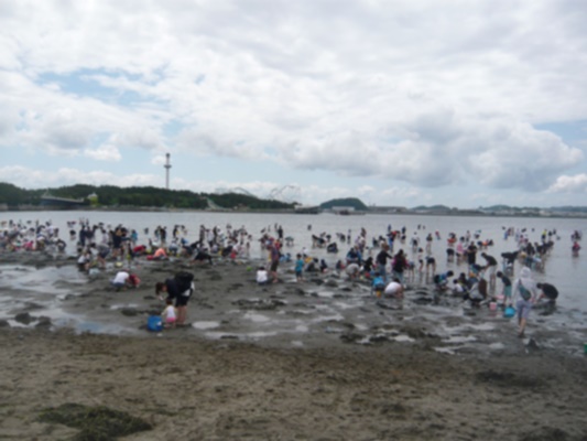 海の公園潮干狩りゴールデンウィーク