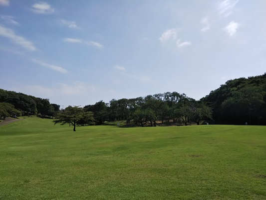 根岸森林公園