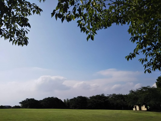 根岸森林公園