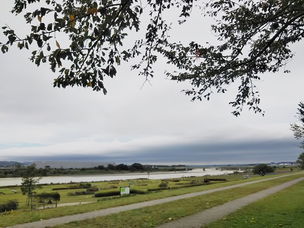 県立相模三川公園