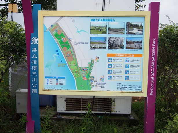 県立相模三川公園