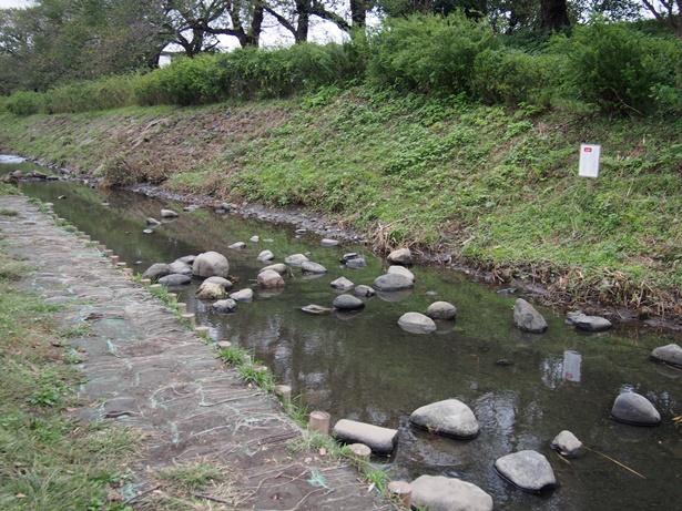 鳩川